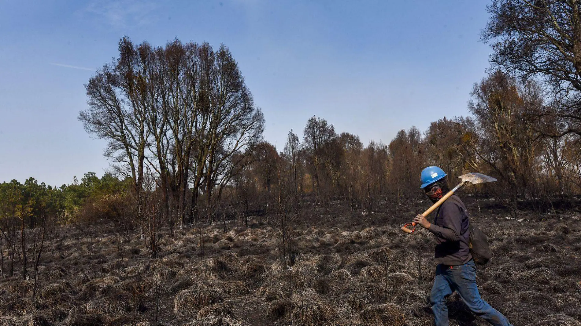 incendio forestal CUARTOSCURO